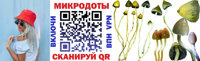 Купить  Сухиничи  Галлюциногенные грибы MAGIC MUSHROOMS 